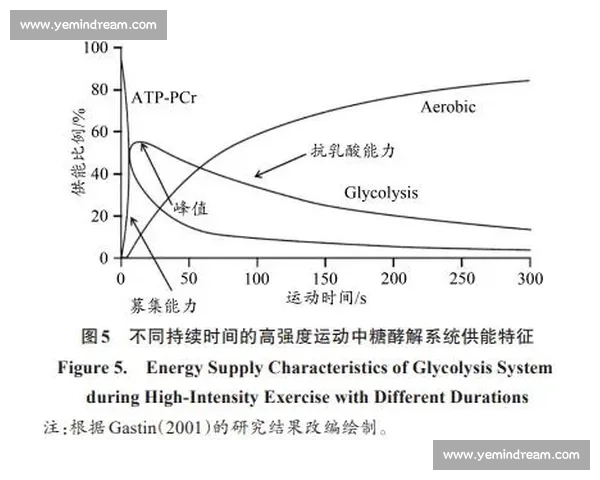 体育科学工具在运动训练优化与运动表现提升中的应用研究